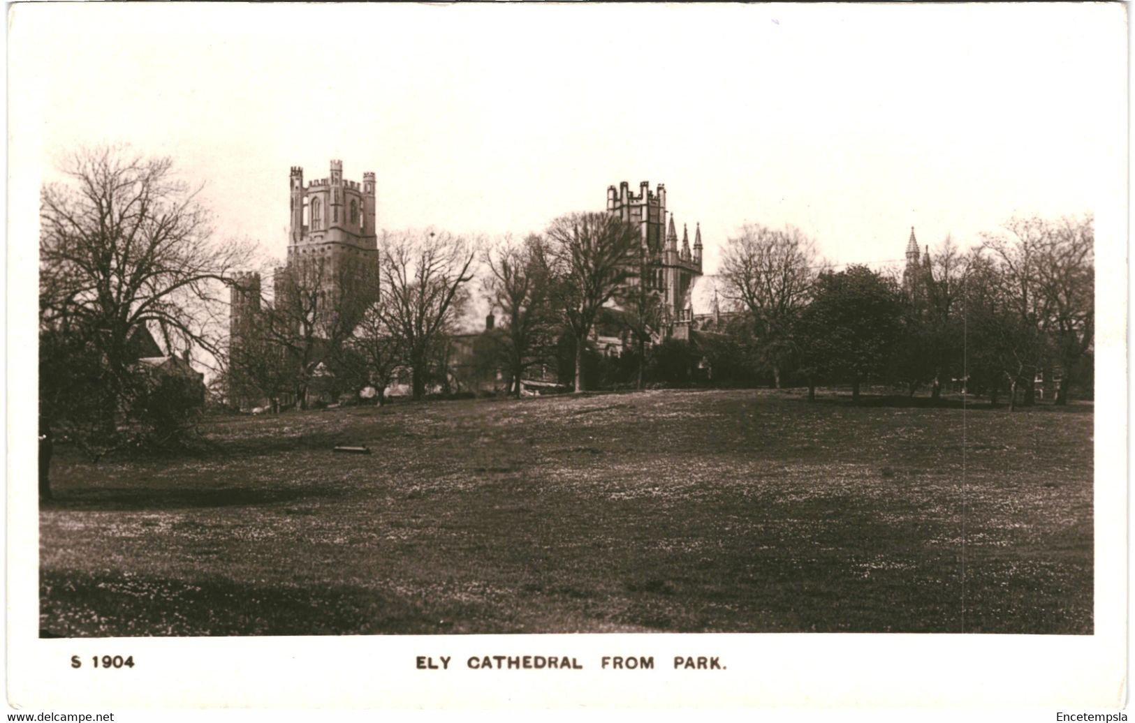 CPA-Carte Postale Royaume Uni Ely Cathedral From Park  VM54638 - Ely