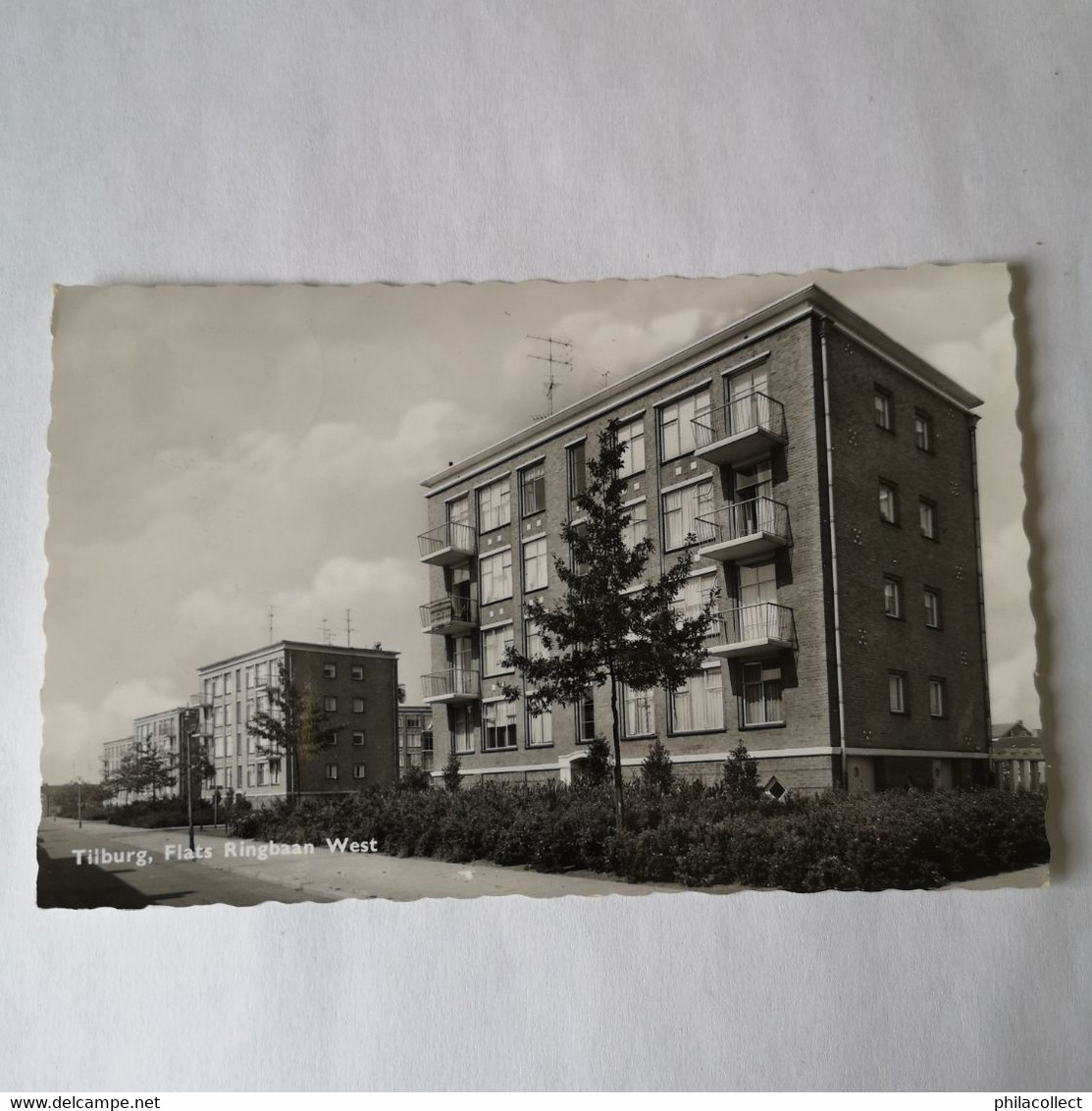 Tilburg // Flats - Ringbaan West 1965 - Tilburg