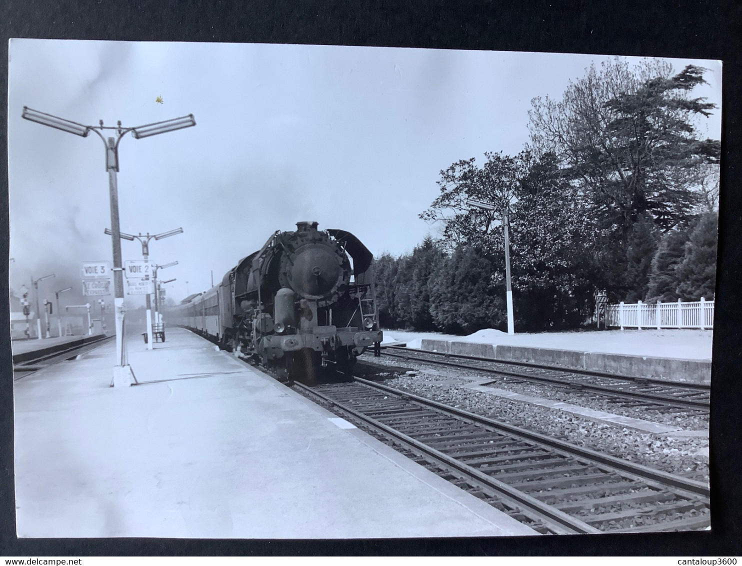 Photo Numérotée De J. BAZIN:  : Train Vapeur  141R En Gare De SAVENAY En 1969 - Trains