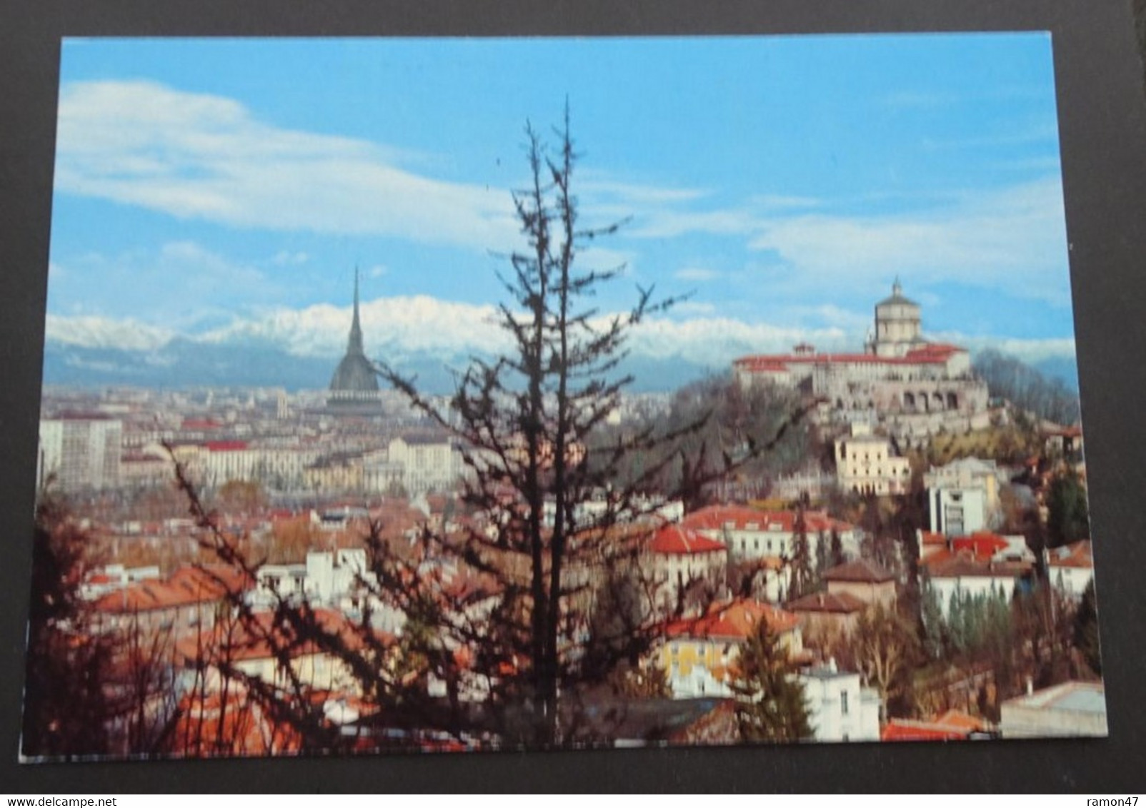 Torino - Panorama - La Mole Antonelliana Ed Il Monte Dei Capuccini - Ediz. Sacat, Torino - # 449 - Mole Antonelliana