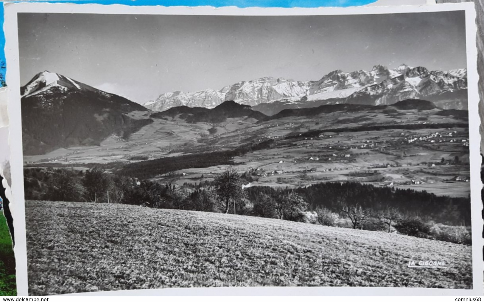 CPA 74 - Bonne Sur Menoge - La Chaîne Des Alpes Et Le Môle - Bonne