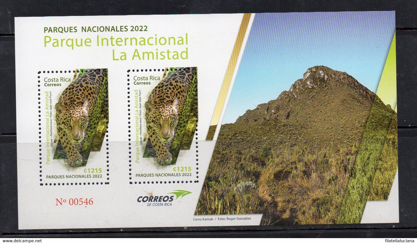 COSTA RICA MNH New Sheet 2022 National Park La Amistad Jaguar Panthera Onca - Autres & Non Classés