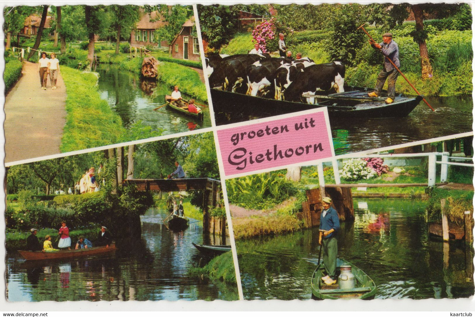 Groeten Uit Giethoorn - (Nederland) - Punter, Koeien, Melkbussen - Pension 'Giethoorn' - Giethoorn