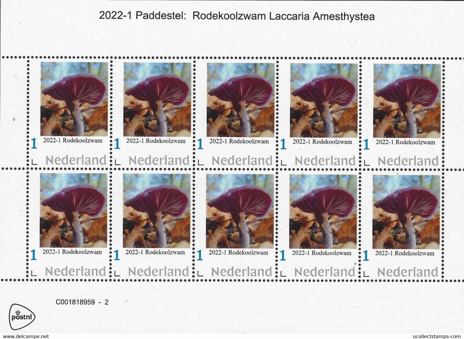 Nederland  2021-1 Paddestoel - Mushrooms  Rodekoolzwam  Laccaria Amesthystea  Vel Sheetlet    Postfris/mnh/neuf - Ungebraucht