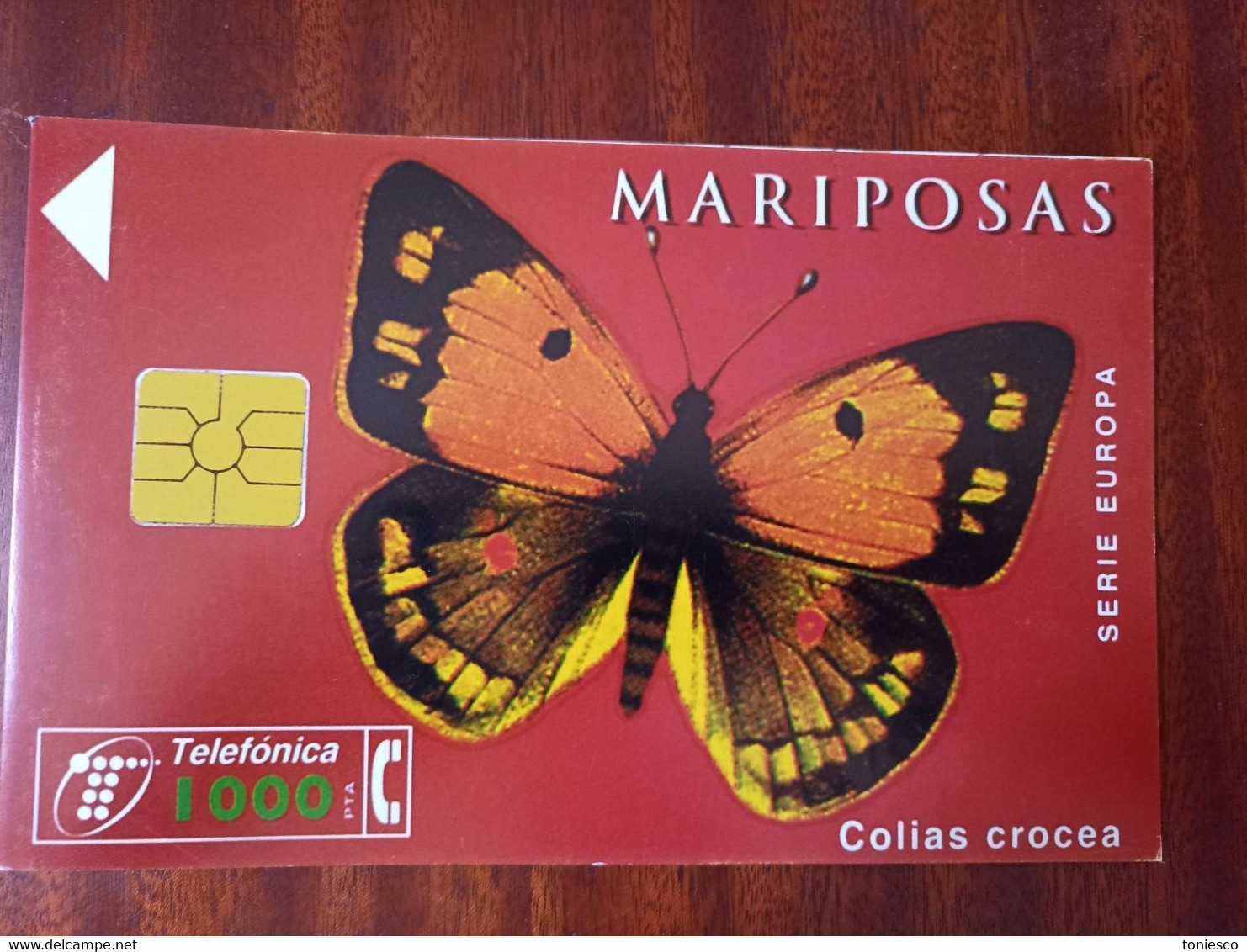 FOLDER Para 4 TARJETAS TELEFONICAS De La "SERIE EUROPA-MARIPOSAS" (SIN TARJETAS) - Butterflies