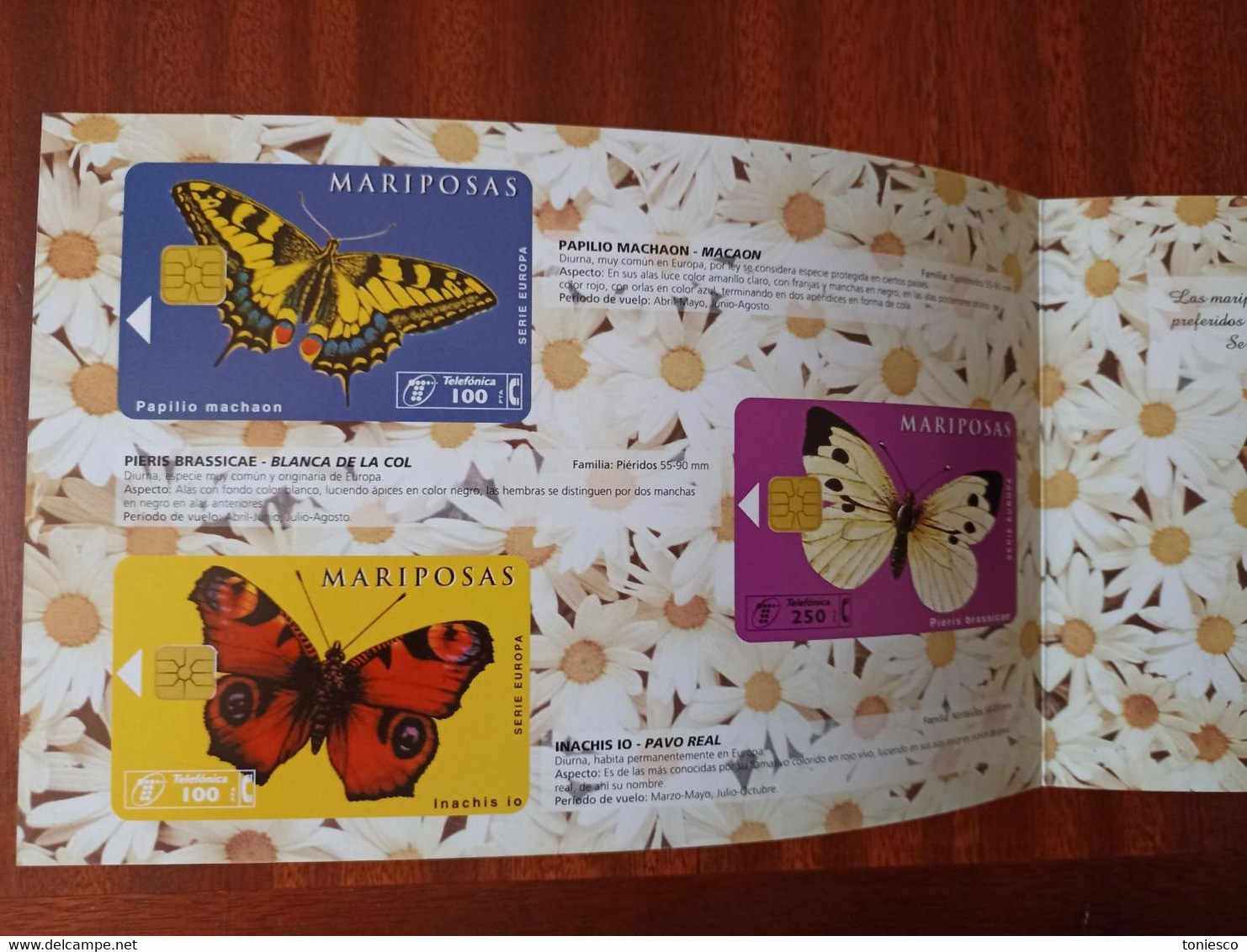 FOLDER Para 4 TARJETAS TELEFONICAS De La "SERIE EUROPA-MARIPOSAS" (SIN TARJETAS) - Vlinders