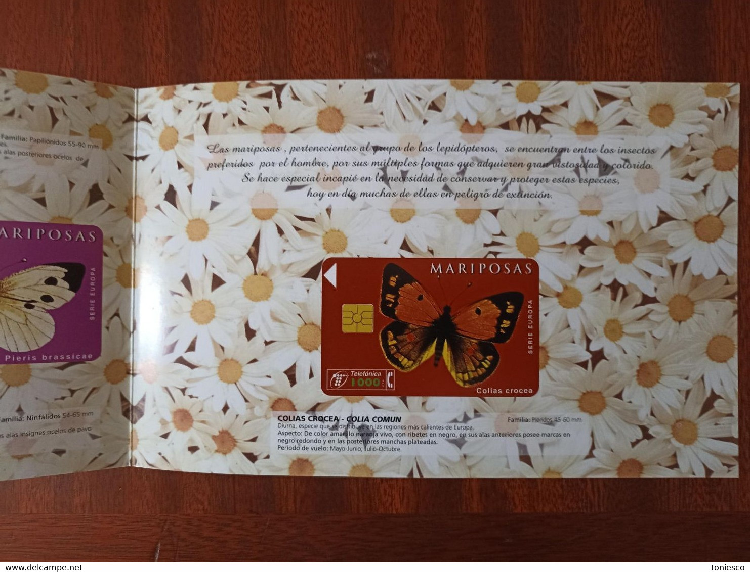 FOLDER Para 4 TARJETAS TELEFONICAS De La "SERIE EUROPA-MARIPOSAS" (SIN TARJETAS) - Papillons