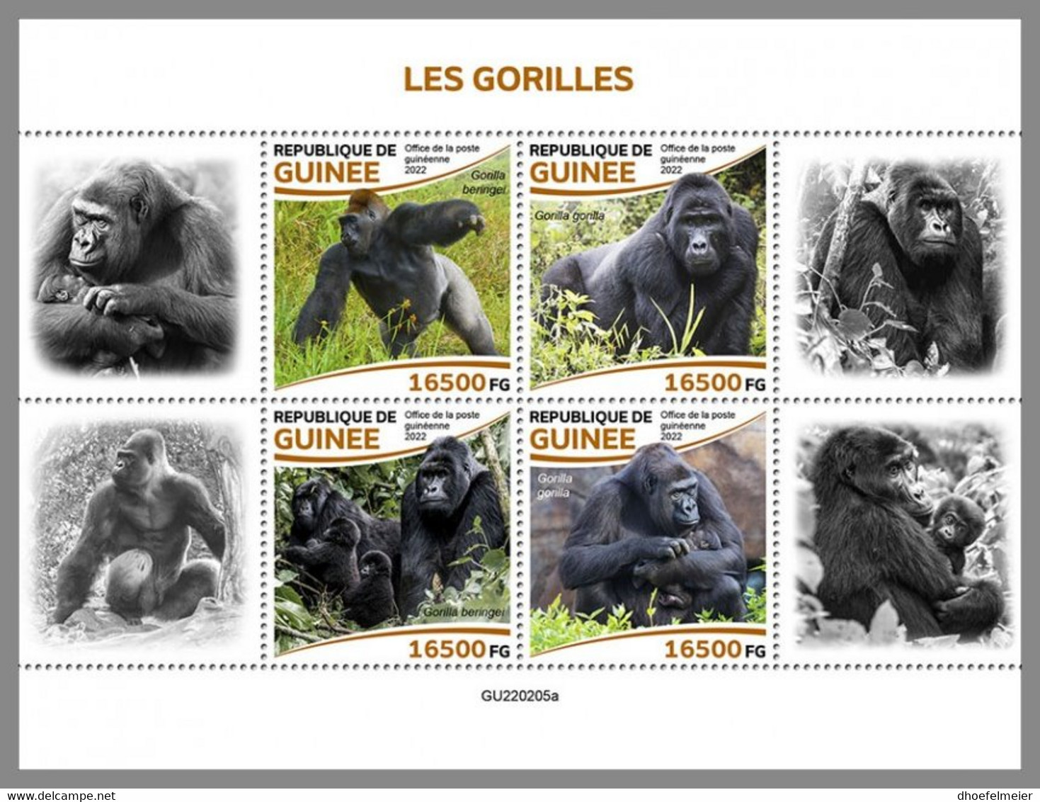 GUINEA REP. 2022 MNH Gorillas Gorilles M/S - OFFICIAL ISSUE - DHQ2233 - Gorilla's