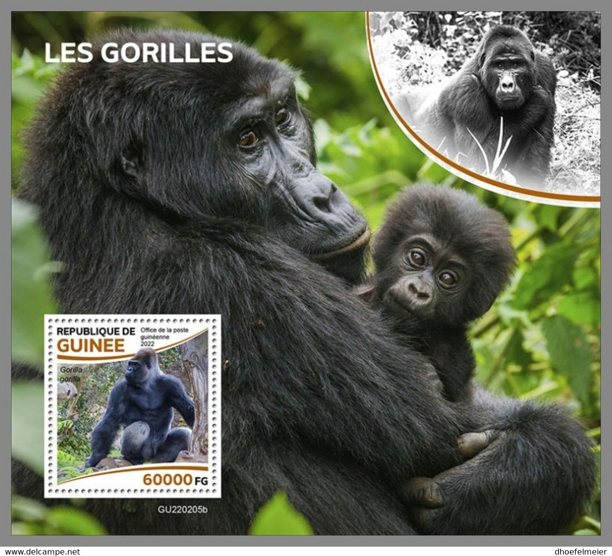 GUINEA REP. 2022 MNH Gorillas Gorilles S/S - IMPERFORATED - DHQ2233 - Gorilla's