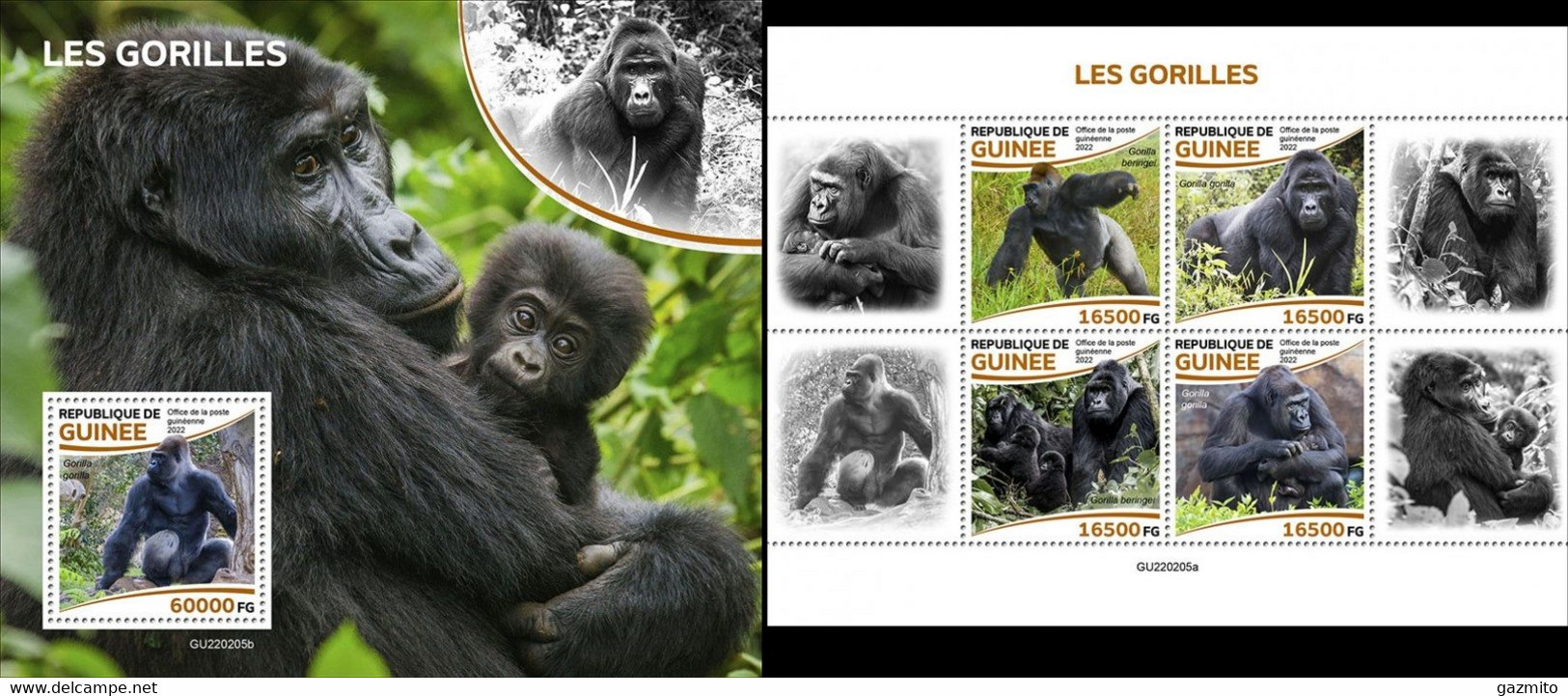 Guinea 2022, Animals, Gorilla, 4val In BF +BF - Gorilles