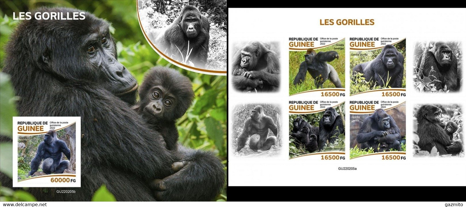 Guinea 2022, Animals, Gorilla, 4val In BF +BF IMPERFORATED - Gorilas