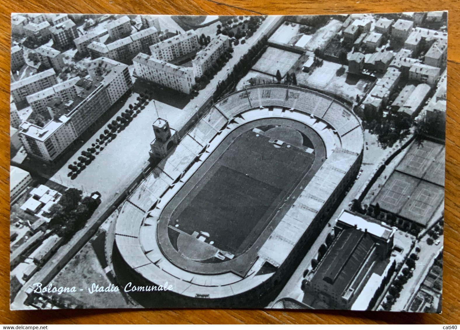 BOLOGNA - STADIO COMUNALE - IV RADUNO NAZIONALE  TECNICI BASEBALL SOFTBALL - Annullo Speciale  -  F.601 - Sonstige & Ohne Zuordnung