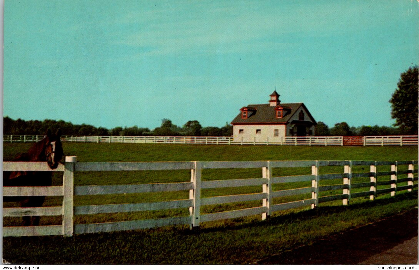 Kentuky Lexington Famous Calumet Farm - Lexington