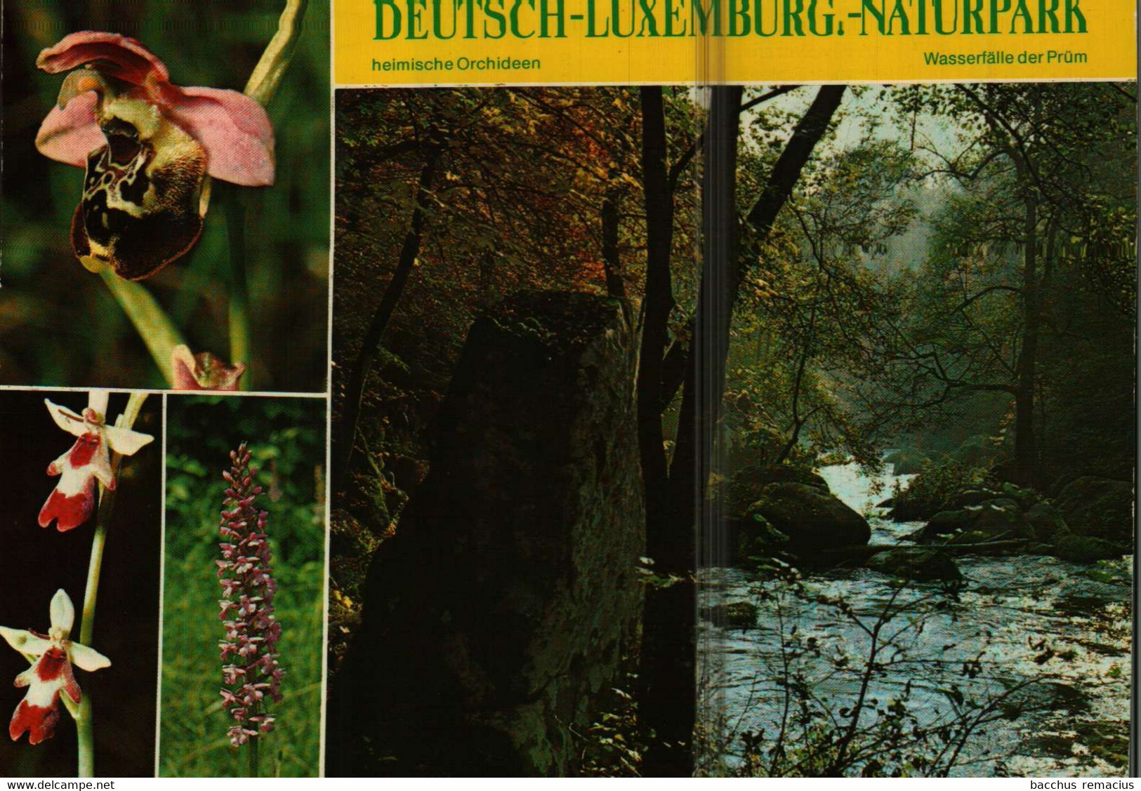 PRÜM/Eifel Deutsch-luxemburgischer Naturpark 1- Heimische Orchideen 2.Wasserfälle Der Prüm - Prüm