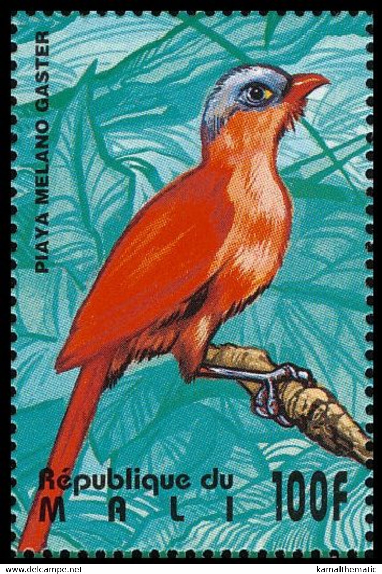 Black-bellied Cuckoo (Piaya Melanogaster), Birds, Mali 1995 MNH - Coucous, Touracos