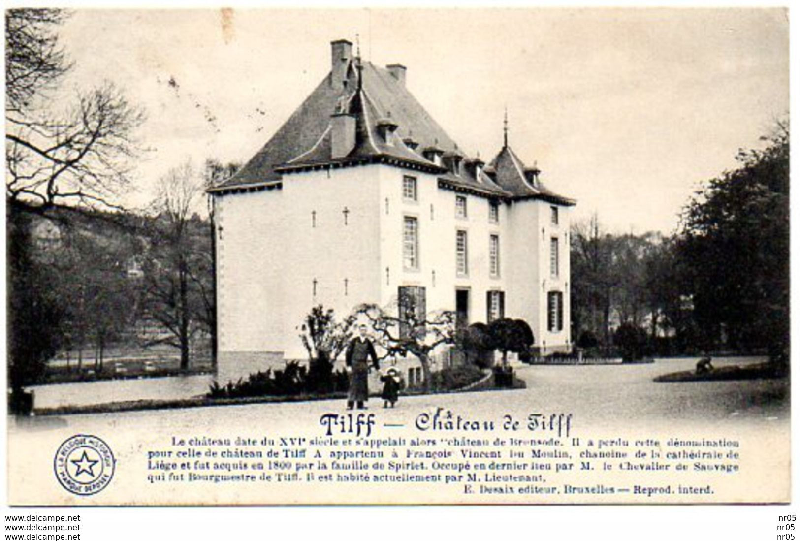 BELGIQUE - BELGIUM -  TILFF - Chateau De Tilff ( Obliteration 1913 + Timbre ) - Esneux