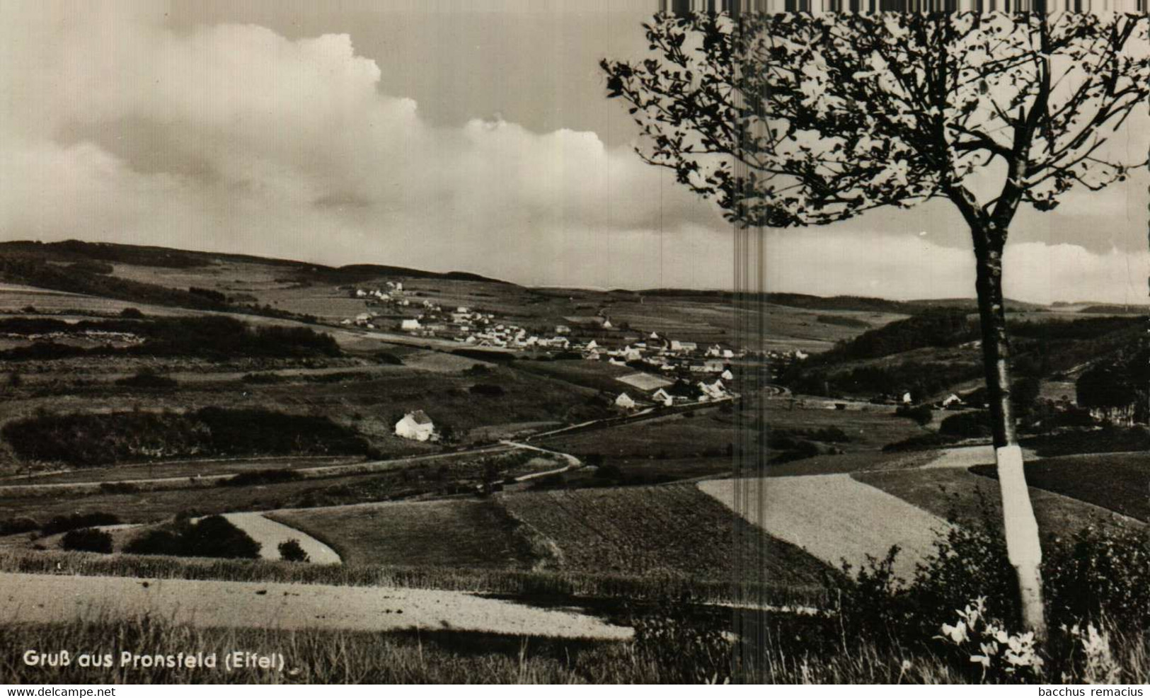 Gruss Aus PRONSFELD/Eifel Gasthaus Peter Zwicker - Prüm