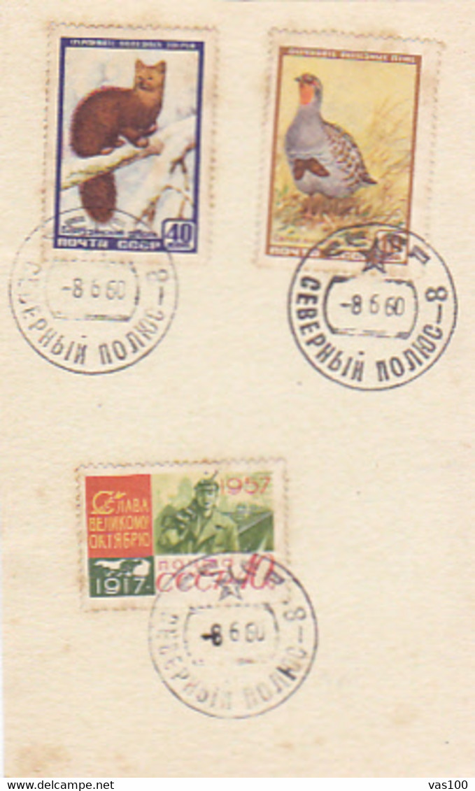 NORTH POLE INK STAMPS, SABLE, PARTRIDGE, OCTOBER REVOLUTION, STAMPS ON CARDBOARD, 1960, RUSSIA - Sonstige & Ohne Zuordnung