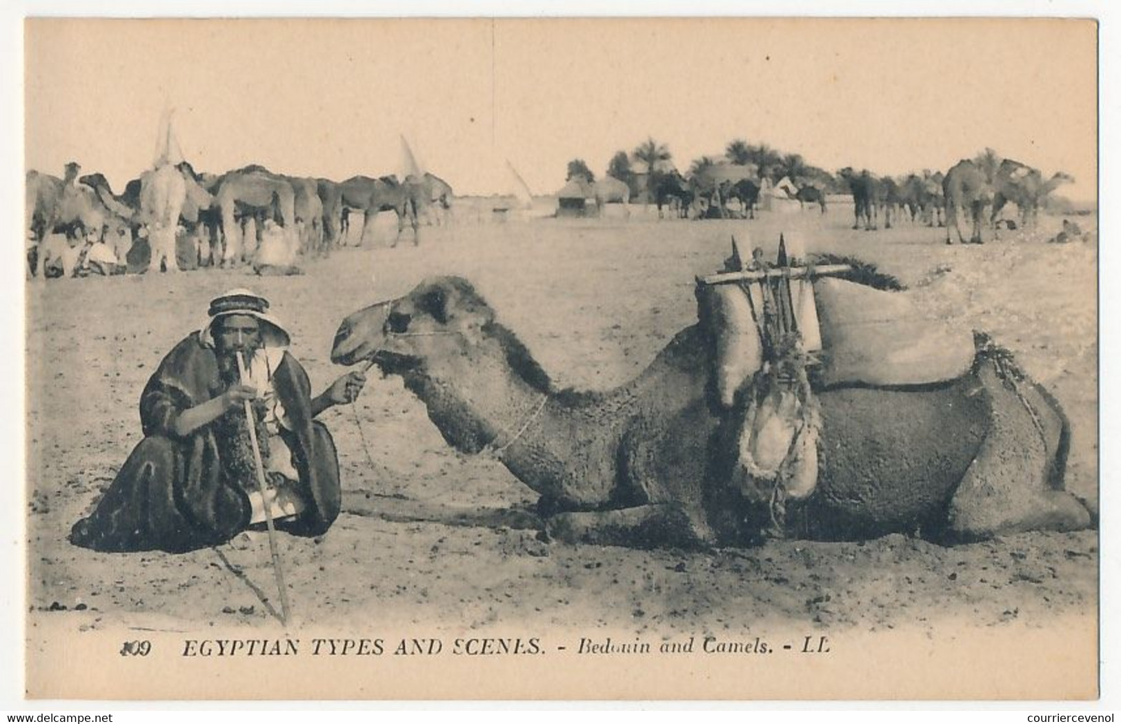 CPA - EGYPTE - Egyptian Types And Scenes - Bedouin And Camels - Persons