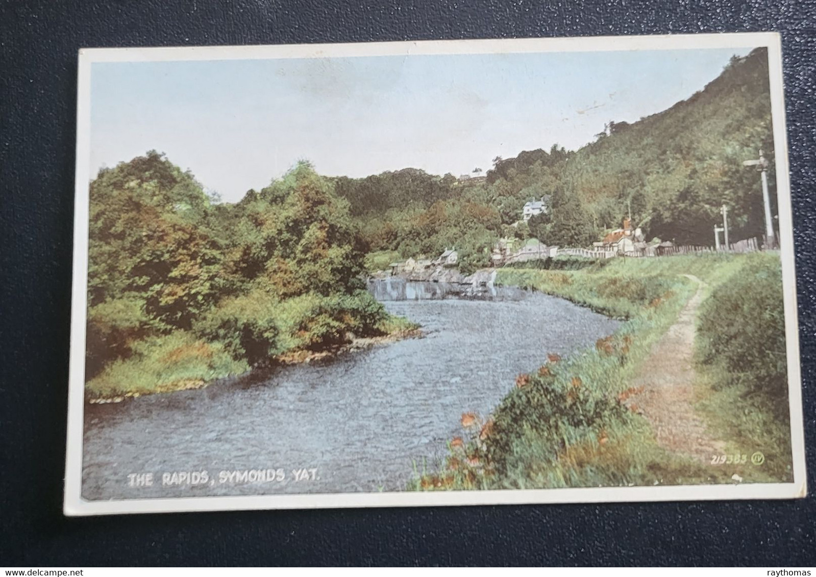 3 OLD CARDS. 2 OF RIVER WYE AT SYMONDS YAT AND A PHOTOCARD OF HORSESHOE BEND, ROSS - Monmouthshire