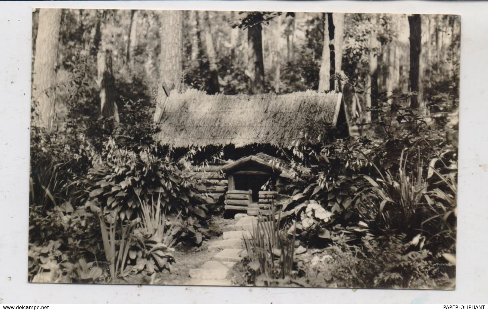 0-3400 ZERBST - LINDAU, Zwergenhäuschen Im Kurpark, 1965 - Zerbst