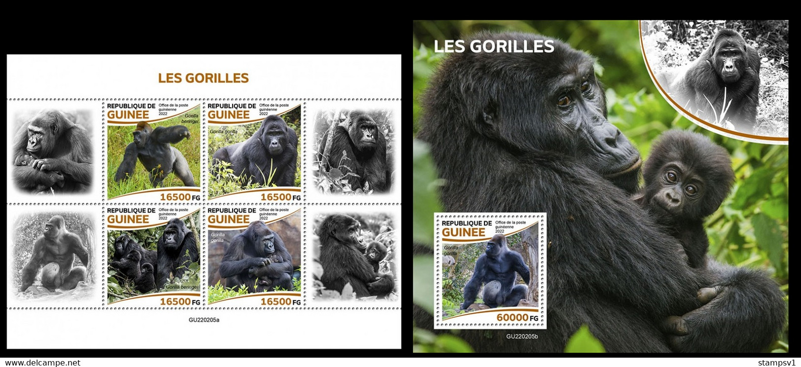 Guinea  2022 Gorillas. (205) OFFICIAL ISSUE - Gorilla's