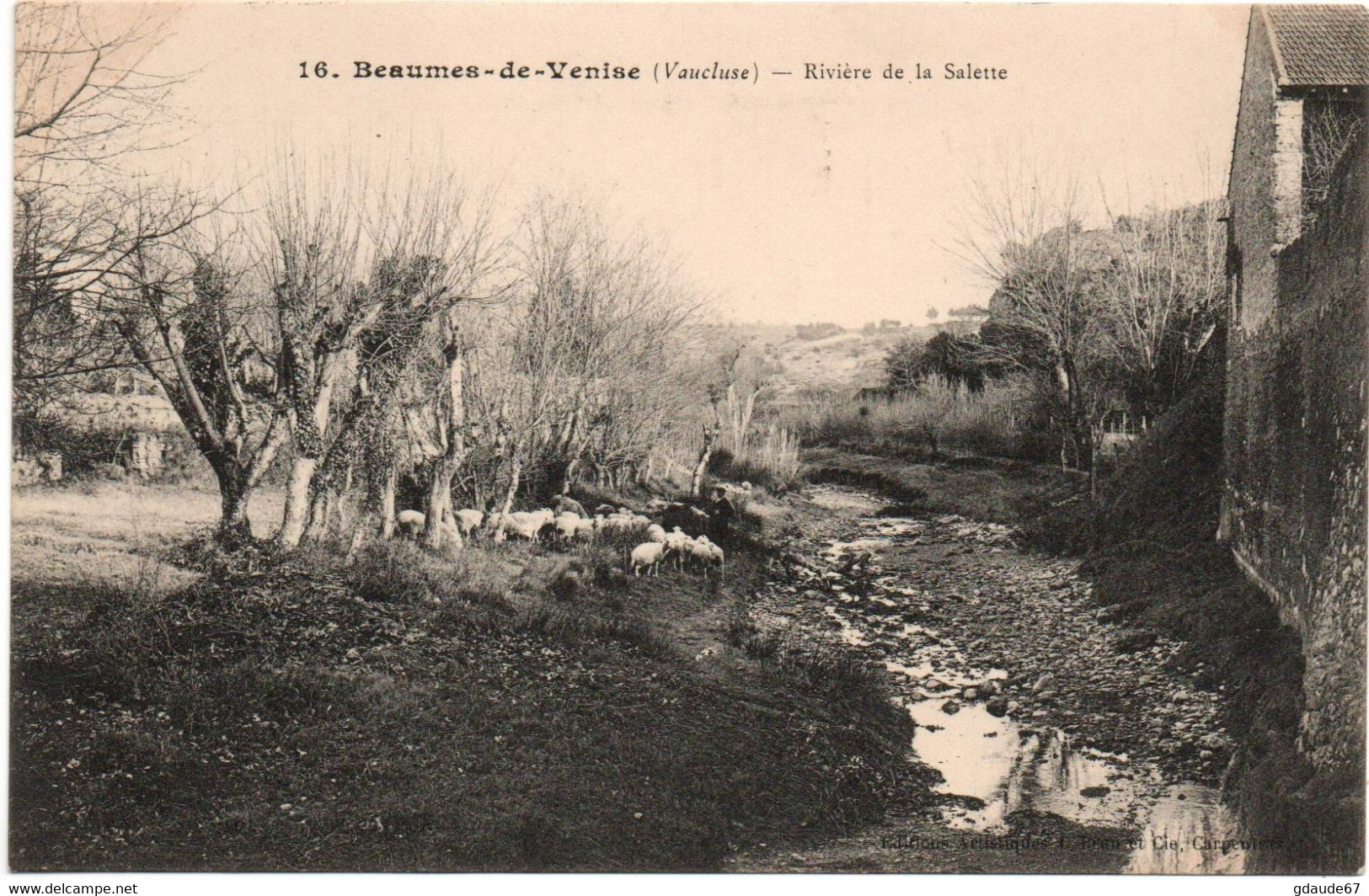 BEAUMES DE VENISE (84) - RIVIERE DE LA SALETTE - Beaumes De Venise