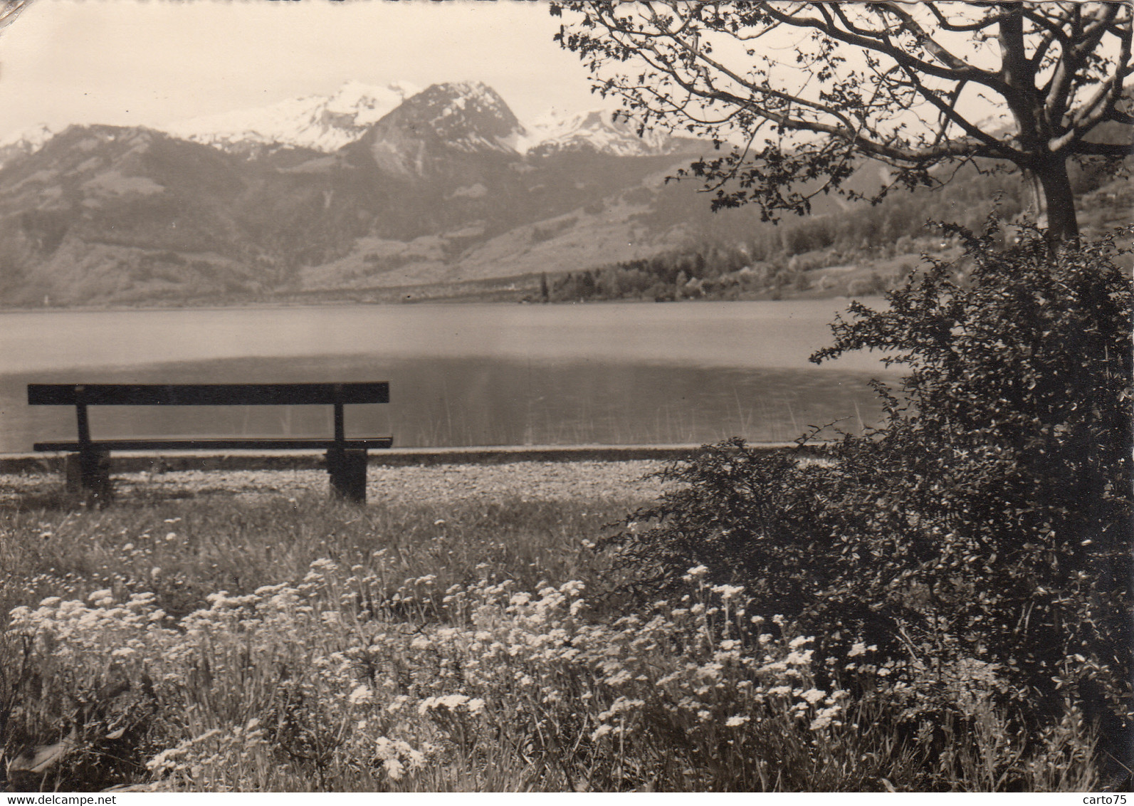 Suisse - Lac De Sarnen - Am Sarnersee - 1957 - Sarnen