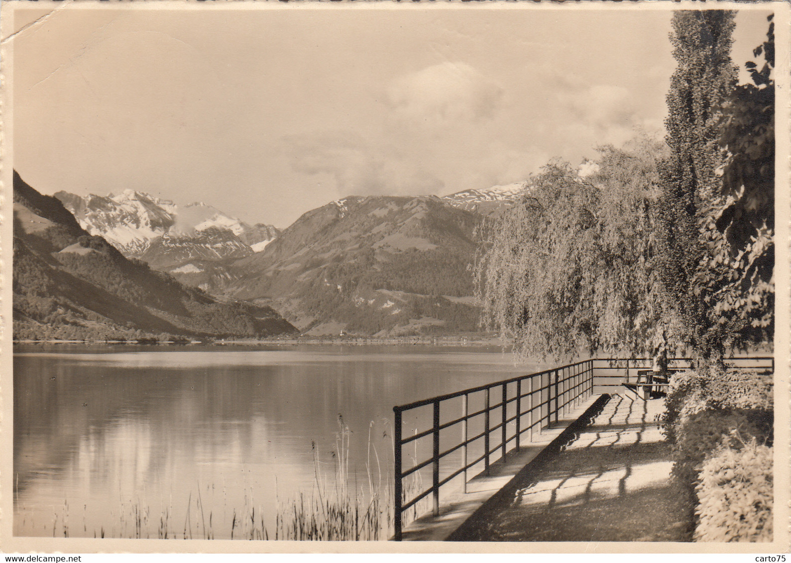 Suisse - Lac De Sarnen - Am Sarnersee - Paysage 1957 - Sarnen