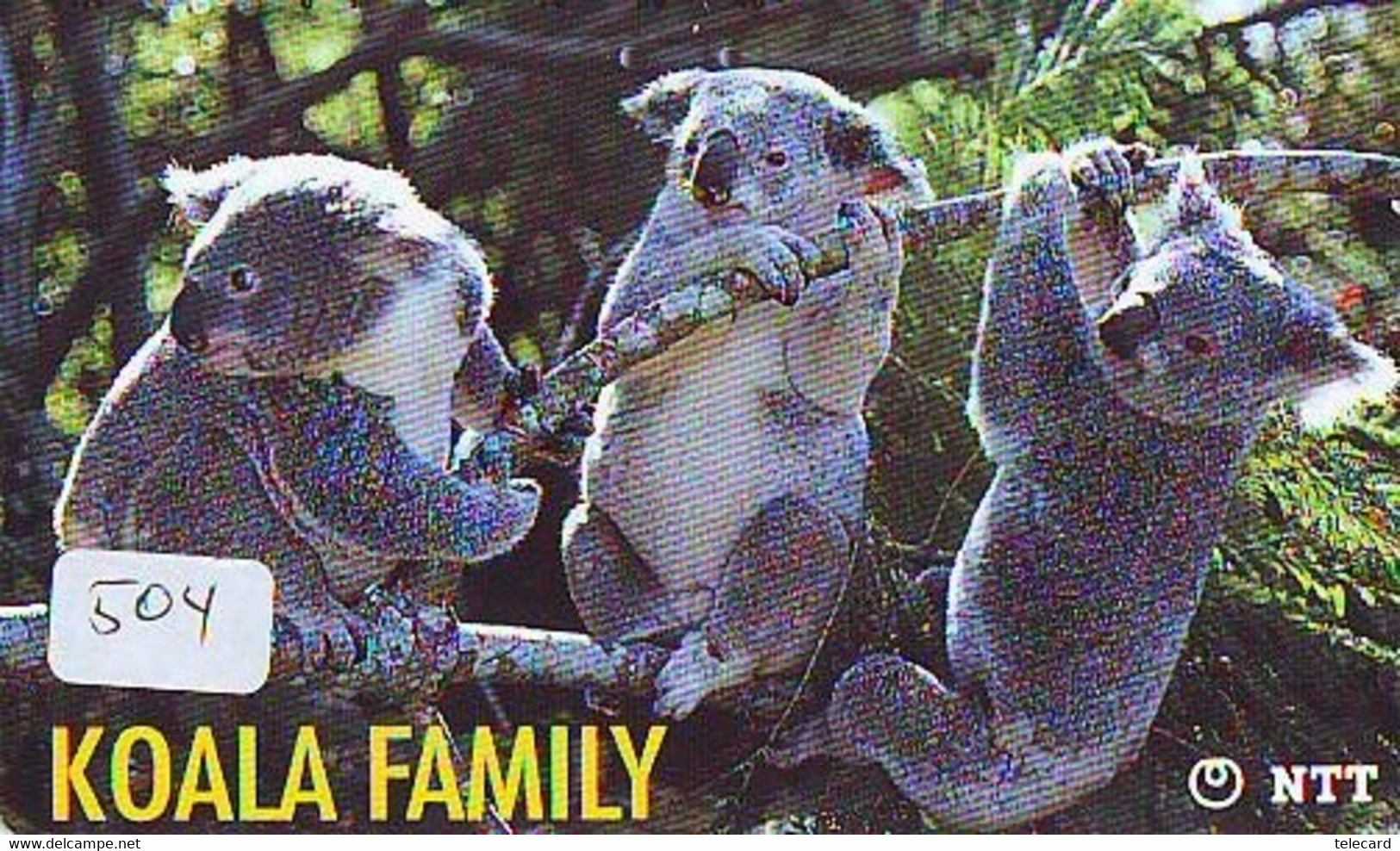 Telecarte Japon * KOALA * BEAR * Koalabär (504) * PHONECARD JAPAN ANIMAL * TIER TELEFONKARTE - Dschungel