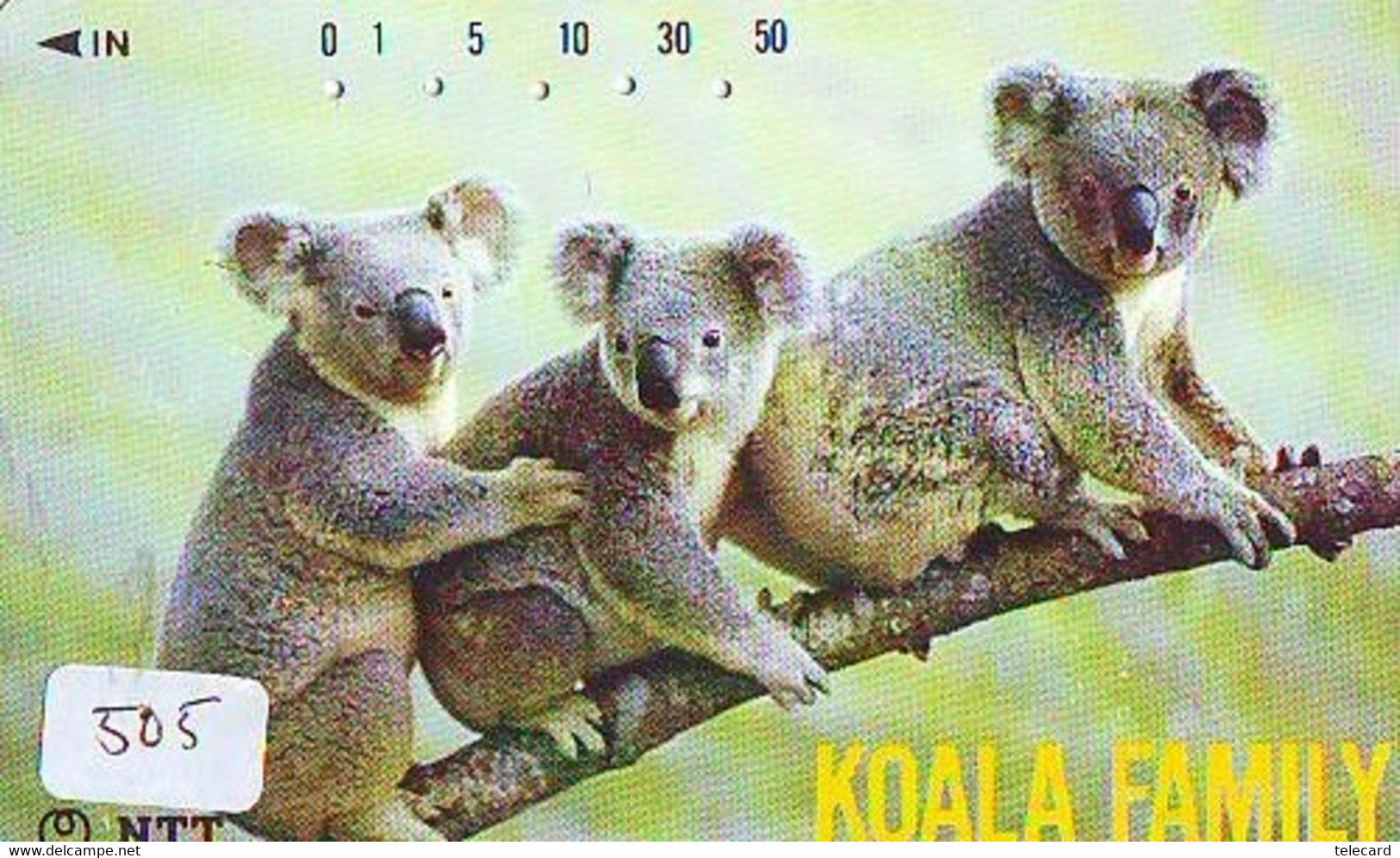 Telecarte Japon * KOALA * BEAR * Koalabär (505) * PHONECARD JAPAN ANIMAL * TIER TELEFONKARTE - Dschungel