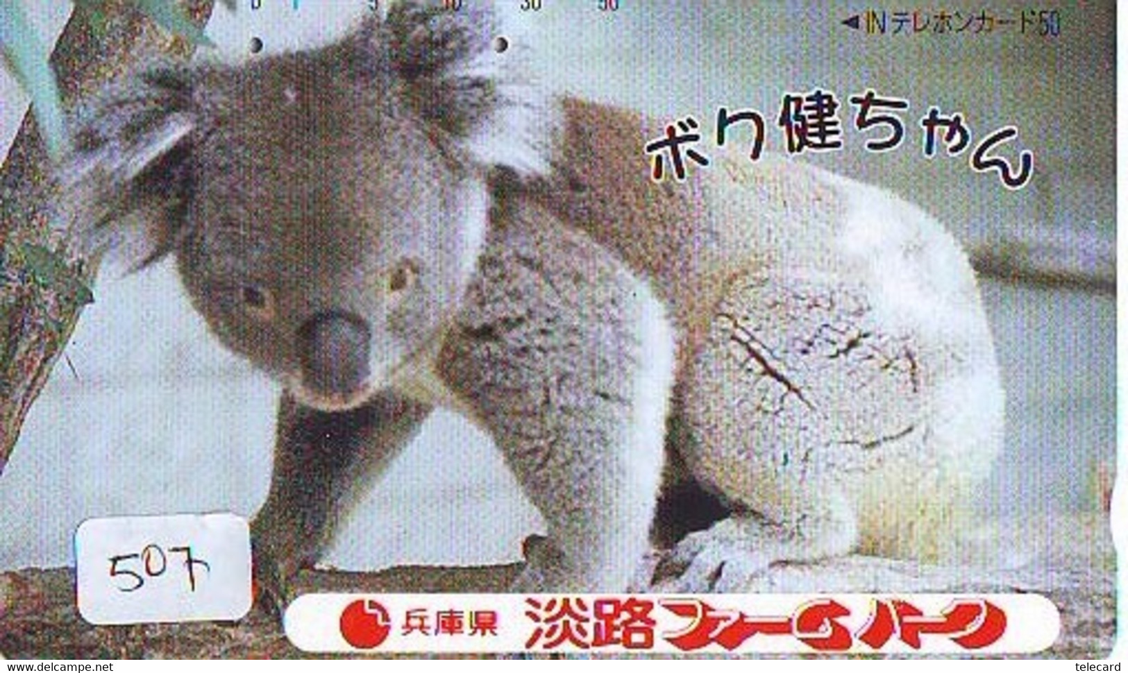 Telecarte Japon * KOALA * BEAR * Koalabär (507) * PHONECARD JAPAN ANIMAL * TIER TELEFONKARTE - Oerwoud