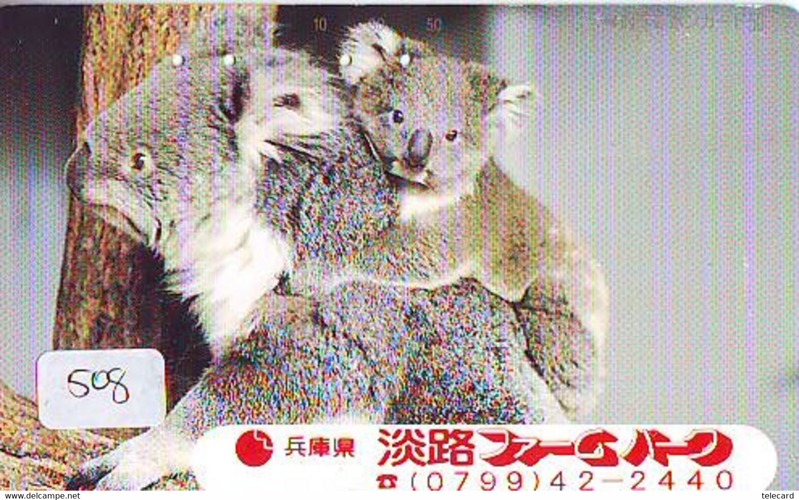 Telecarte Japon * KOALA * BEAR * Koalabär (508) * PHONECARD JAPAN ANIMAL * TIER TELEFONKARTE - Jungle