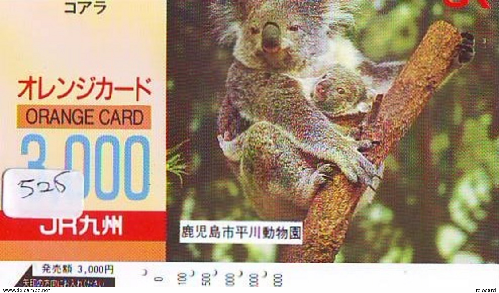 Telecarte Japon * KOALA * BEAR * Koalabär (525) * PHONECARD JAPAN ANIMAL * TIER TELEFONKARTE - Jungle