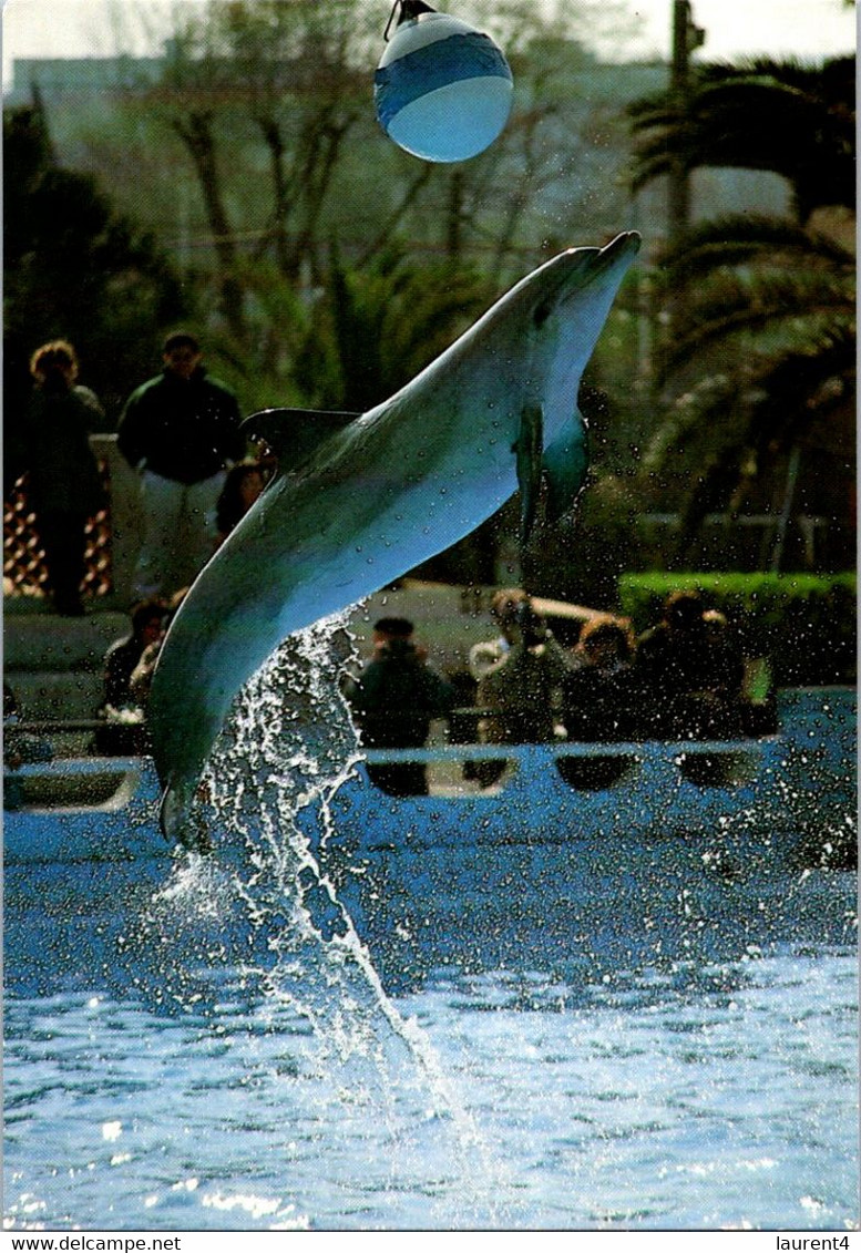 (1 J 56) France - Marineland Dolphin And Ballonn Show - Dauphins