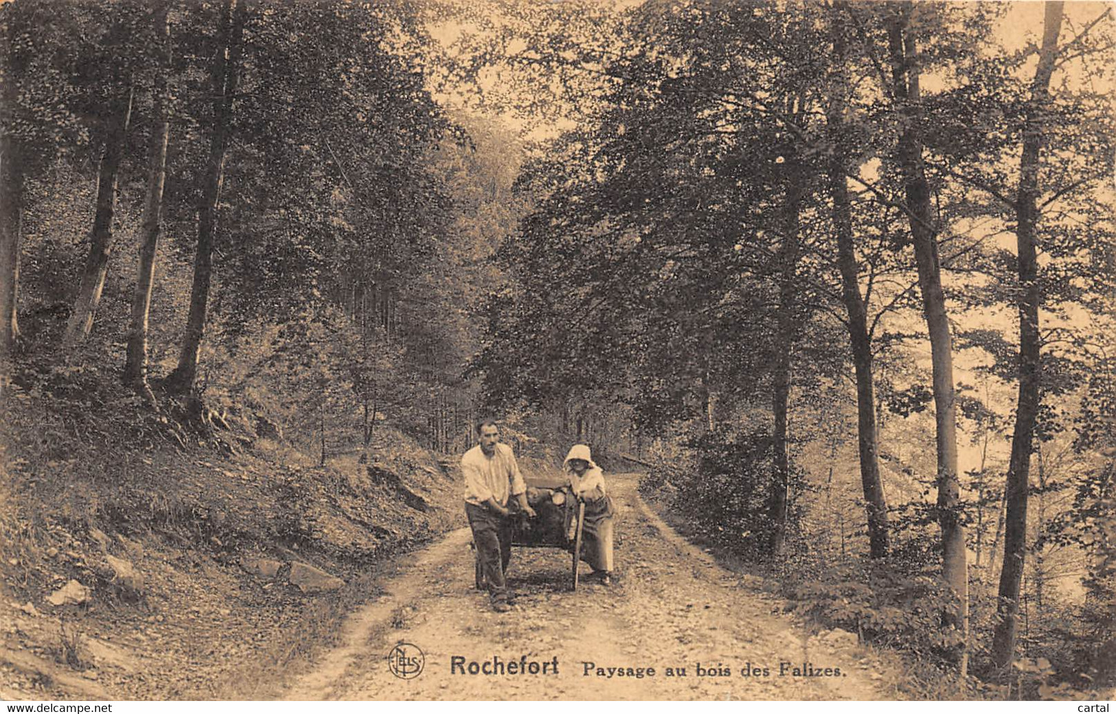 ROCHEFORT - Paysage Au Bois Des Falizes. - Rochefort