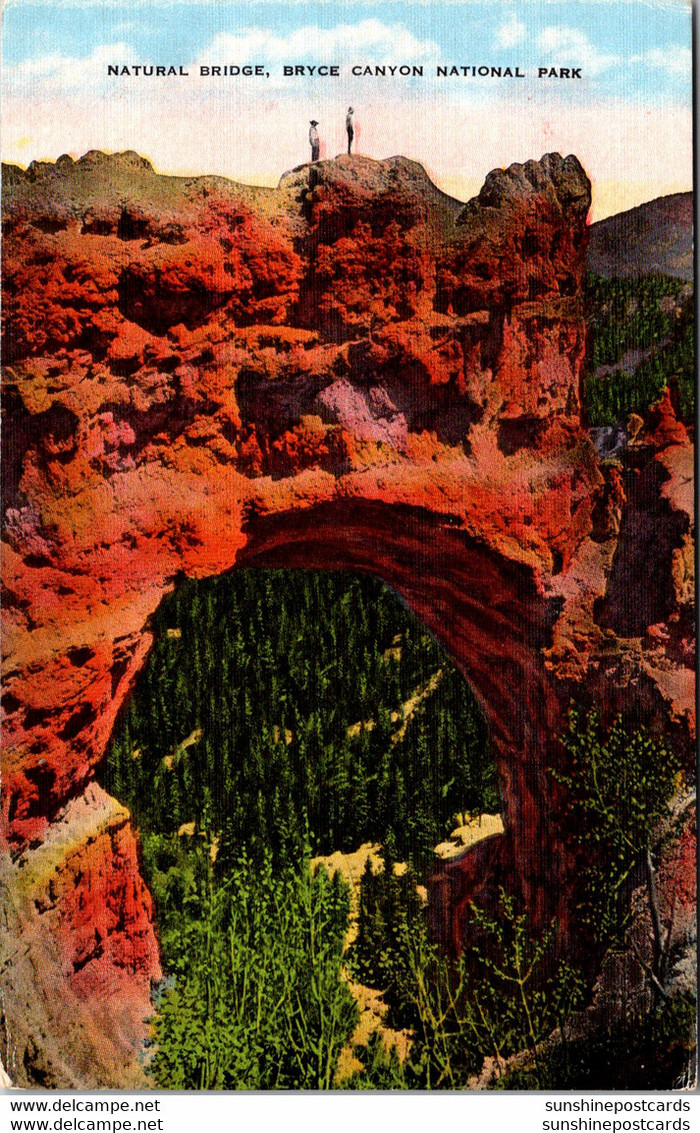 Utah Bryce Canyon National Park Natural Bridge - Bryce Canyon