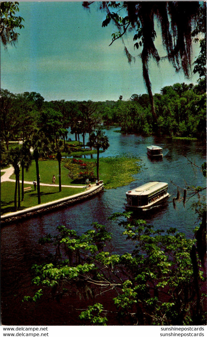 FLorida Silver Springs Glass Bottom Boats On Silver River - Silver Springs