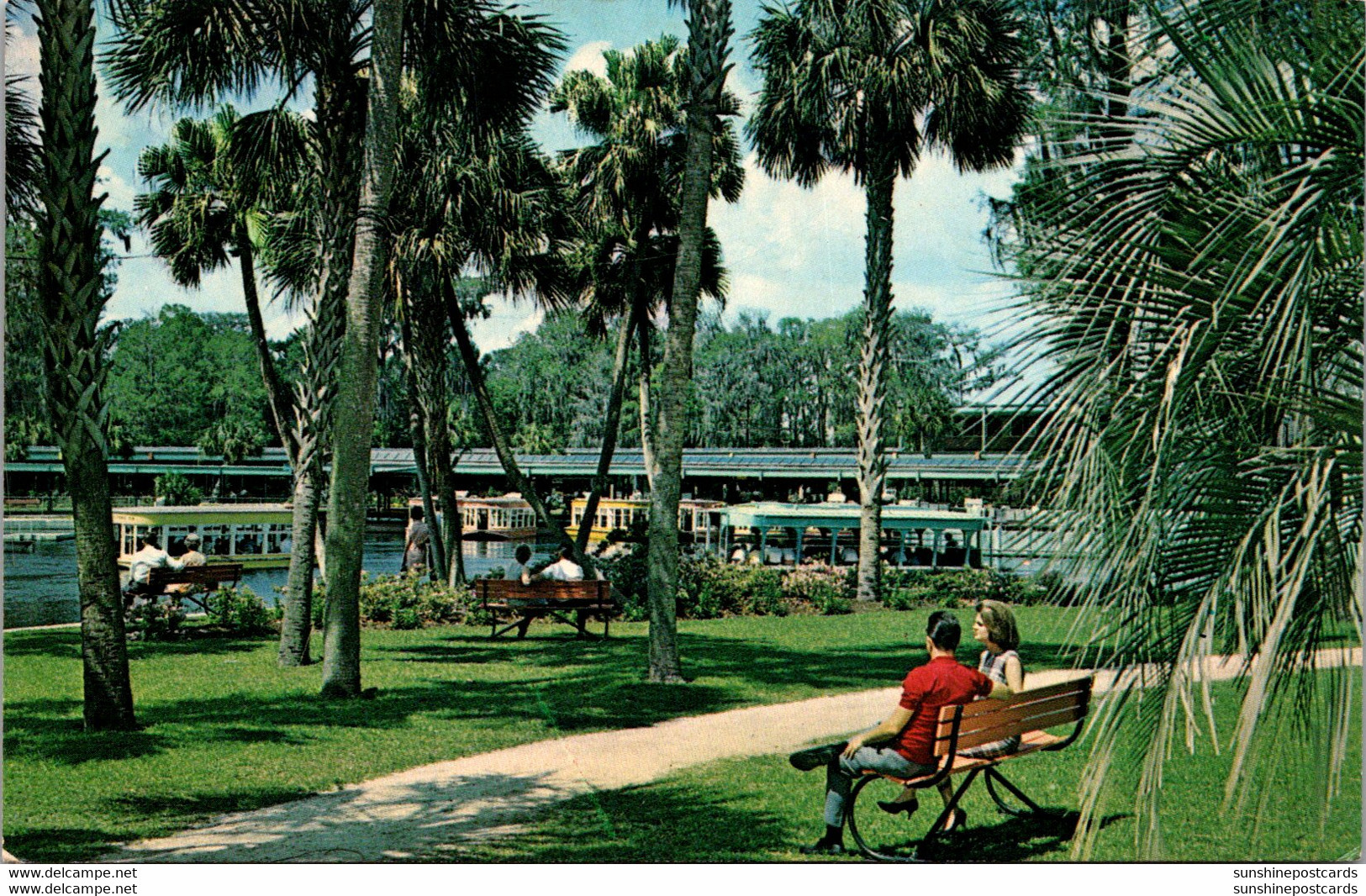 FLorida Silver Springs Landscaped Park Along Spring Basin - Silver Springs