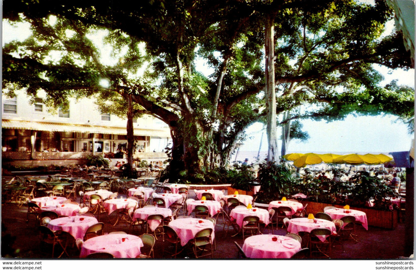 Hawaii Waikiki Moana Hotel's World Famous Banyan Court Lanai - Honolulu