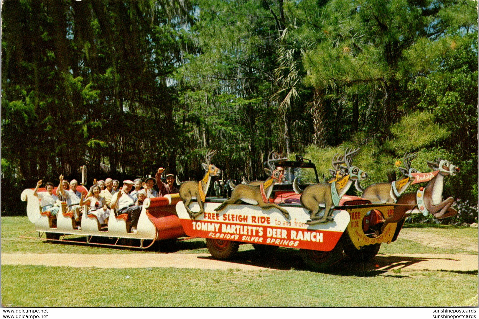 Florida Silver Springs Tommy Bartlett's Deer Ranch Sleigh Ride 1960 - Silver Springs