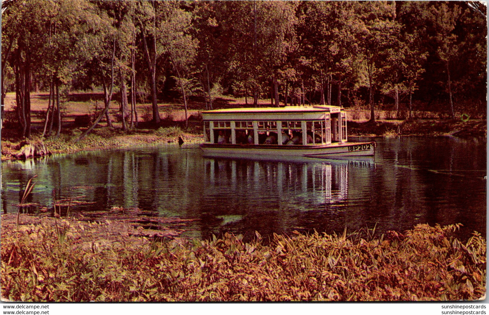 FLorida Silver Springs Glass Bottom Boat 1952 - Silver Springs