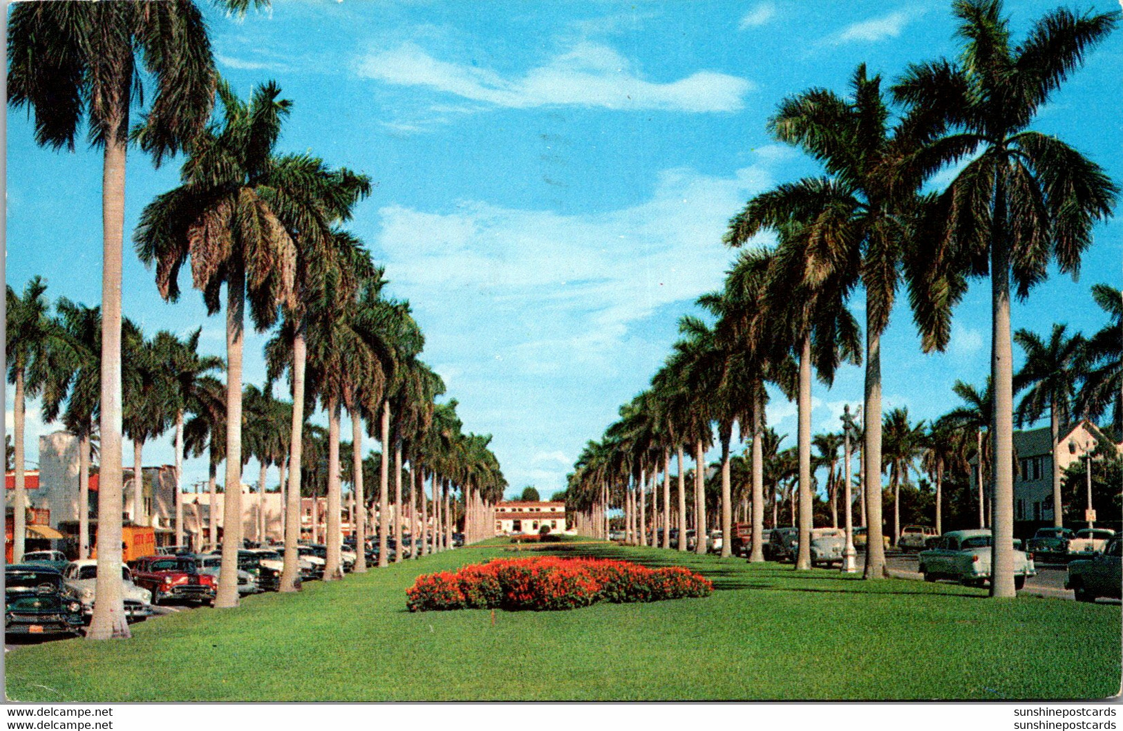 Florida Palm Beach Stately Royal Palms On Royal Poinciana Way 1962 - Palm Beach