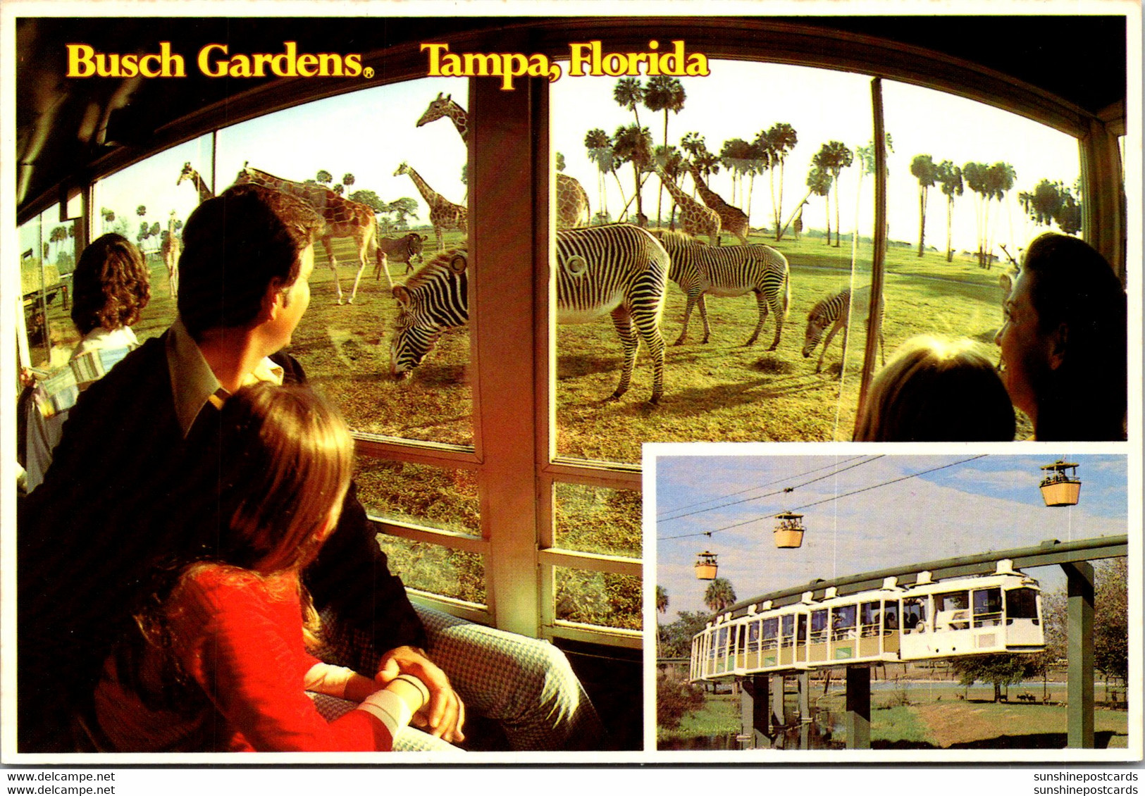 Florida Tampa Busch Gardens The Dark Continent Glass Enclosed Monorail Safari - Tampa