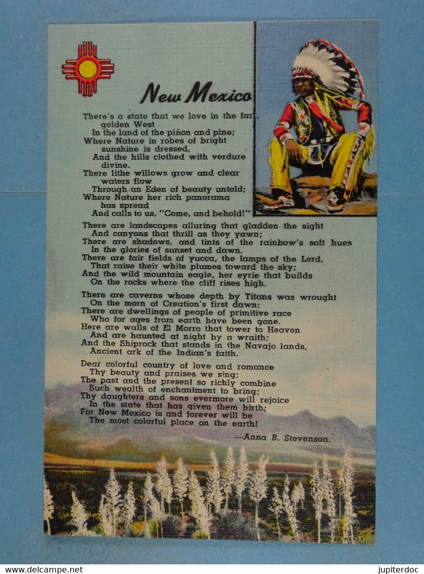 New Mexico The Sunshine State - Autres & Non Classés