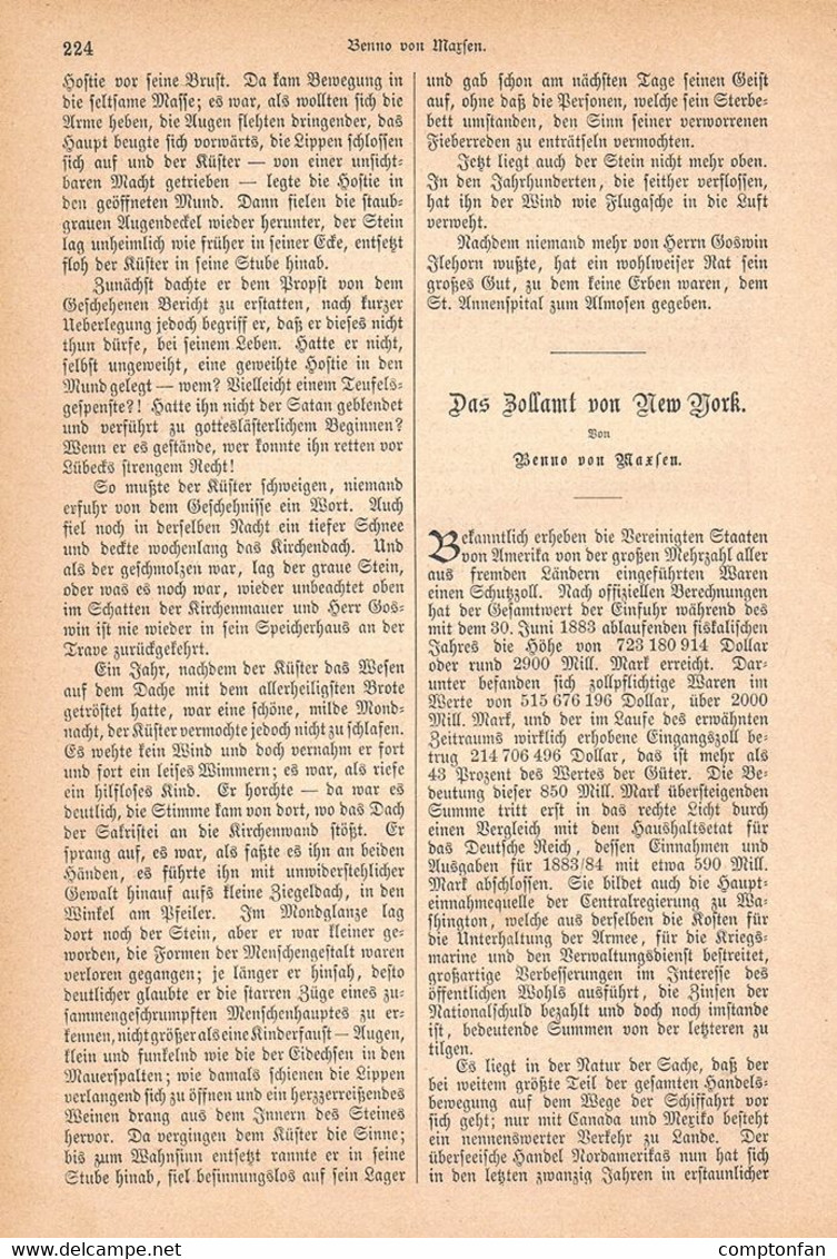 A102 1247-2 New York Zollamt Castle Garden Artikel / Bilder 1884 !! - Autres & Non Classés