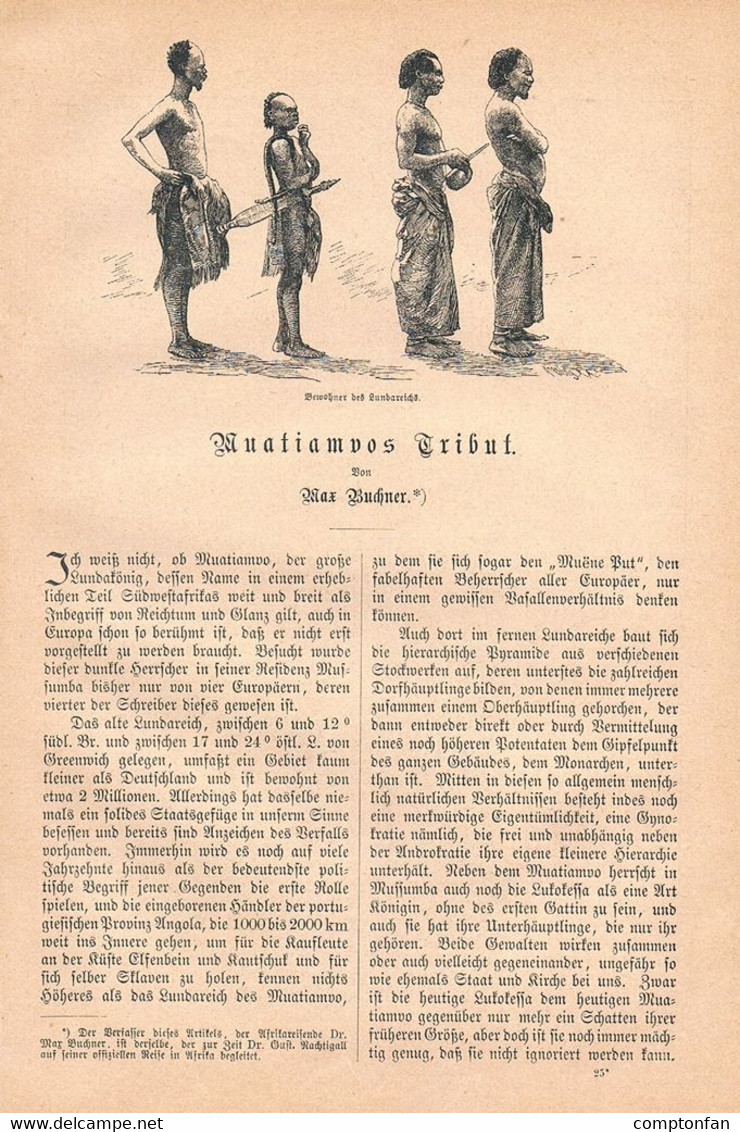 A102 1248-2 Max Buchner Muatiamvos Tribut Lunda-Reich Artikel / Bilder 1884 !! - Autres & Non Classés