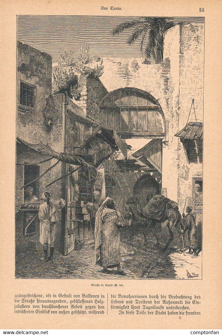 A102 1251-2 Gustav Nachtigall Aus Tunis Tunesien Artikel / Bilder 1884 !! - Autres & Non Classés