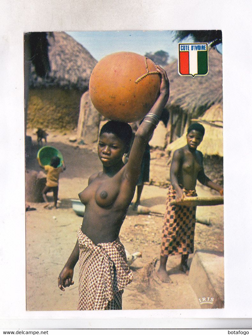 CPM COTE D IVOIRE, LA VIE AU VILLAGE En 1981! - Côte-d'Ivoire