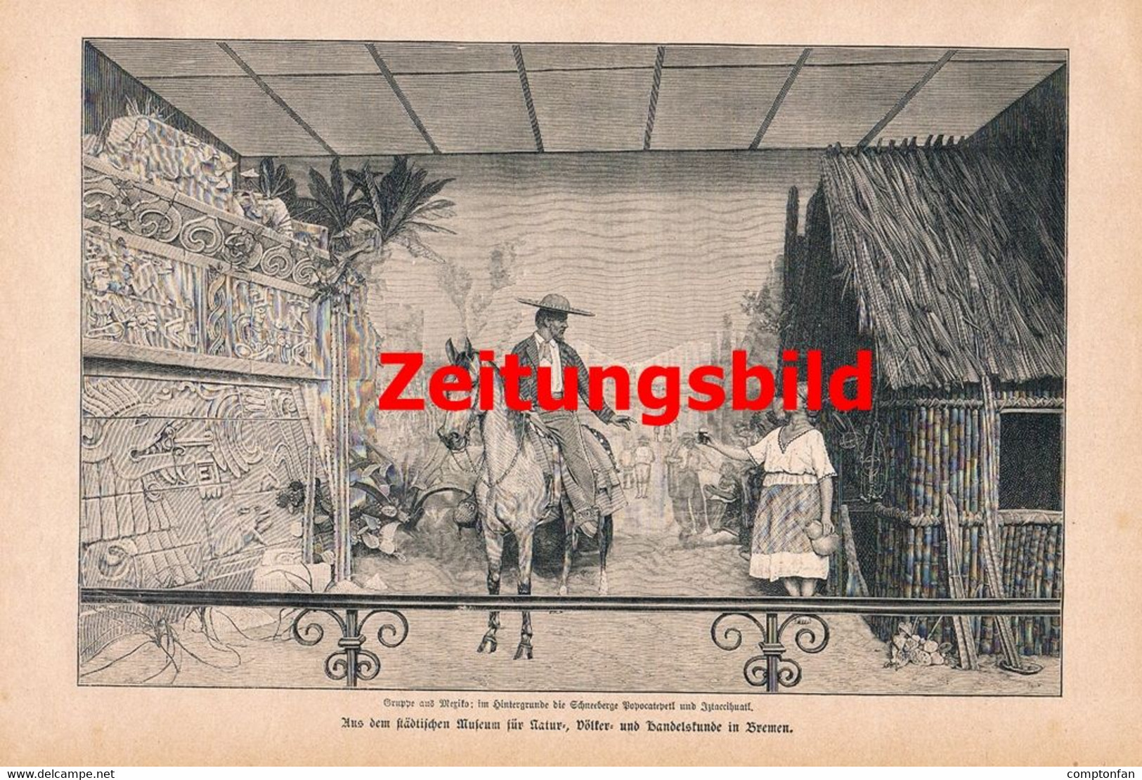 A102 1267 Bremen Städtische Übersee-Museum Artikel / Bilder 1896 !! - Museos & Exposiciones